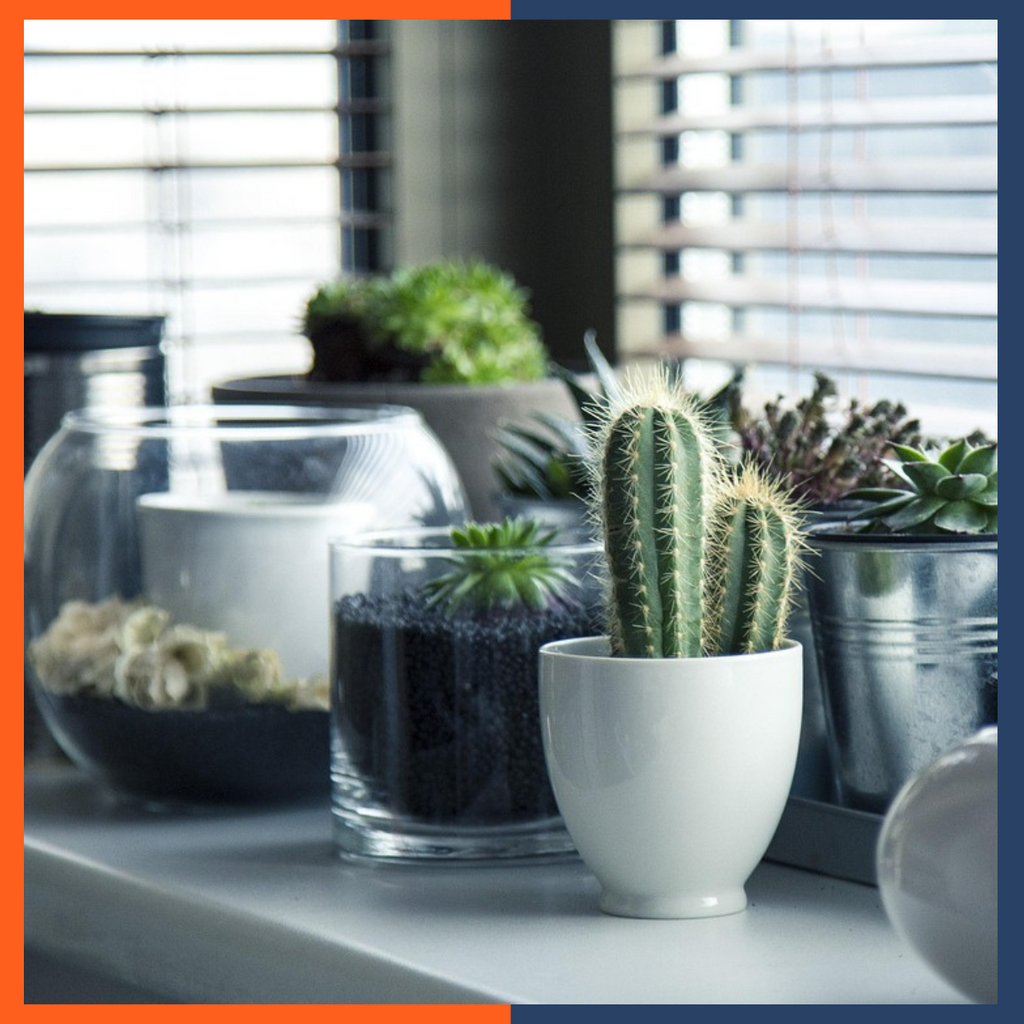 DIY Plant Stand Flower Shelf Rack Potting Bench