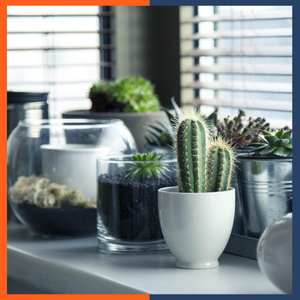 DIY Plant Stand Flower Shelf Rack Potting Bench