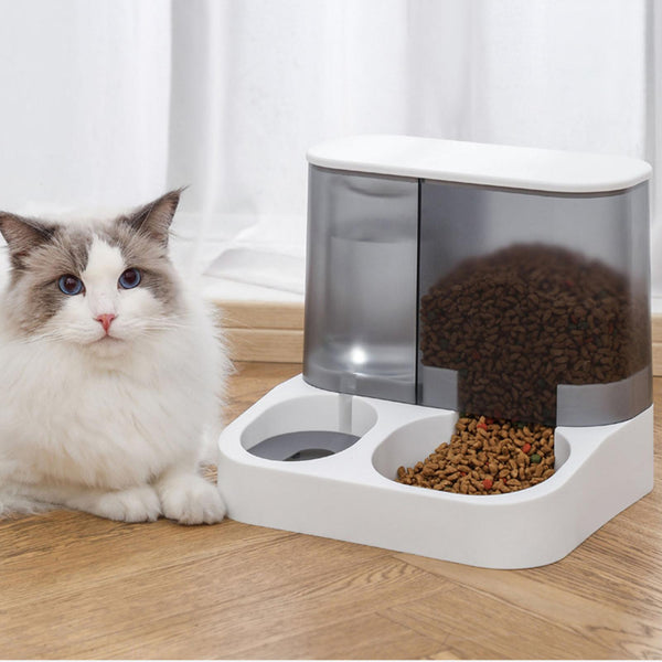 Amazing Home Automatic Pet Feeder & Water Dispenser Set