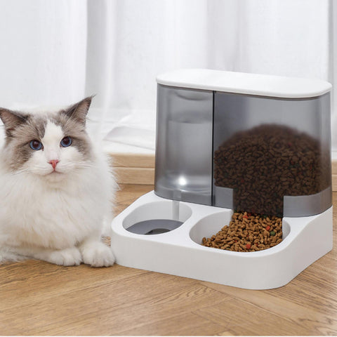 Amazing Home Automatic Pet Feeder & Water Dispenser Set