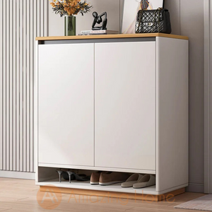 Eline 60cm Shoe Cabinet 2 Door Storage Cabinet