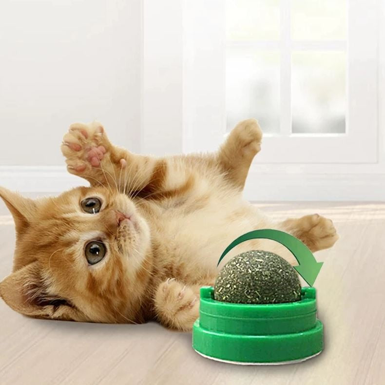 Amazing Home Rotating Catnip Ball Cat MintLeaf Molar Treat Ball